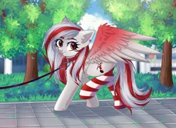 Size: 1449x1049 | Tagged: safe, artist:freyamilk, derpibooru import, oc, oc:skyshard melody, pegasus, pony, :p, clothes, collar, colorful, commission, ear piercing, female, happy, image, jpeg, leash, mare, nature, outdoors, owned, park, pet, pet play, piercing, red hair, smiling, socks, solo, spread wings, tongue out, tree, walking, white fur, wings, your character here