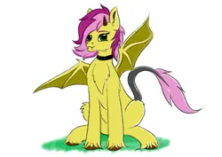 Size: 4093x2894 | Tagged: safe, artist:palettenight, derpibooru import, oc, oc:sillist, fluffy pony, hybrid, original species, pegasus, pony, collar, fluffy, grass, horn, horns, image, looking at you, png, sitting, smiling, solo, spread wings, tail, teeth, wings