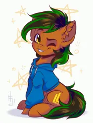 Size: 2893x3855 | Tagged: safe, artist:falafeljake, derpibooru import, oc, unofficial characters only, earth pony, pony, image, jpeg, male, one eye closed, solo, wink