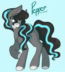 Size: 1385x1530 | Tagged: safe, artist:mscolorsplash, derpibooru import, ponified, earth pony, pony, blue background, coat markings, crossover, facial markings, female, horseland, image, jpeg, mare, pepper (horseland), simple background, snip (coat marking), solo