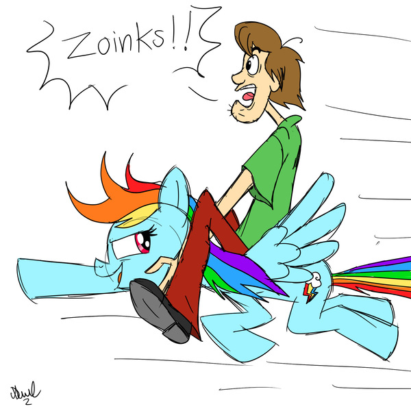 Size: 2048x2048 | Tagged: safe, artist:fanartist2020, derpibooru import, rainbow dash, human, pegasus, pony, crossover, duo, female, image, jpeg, male, riding, riding a pony, scooby doo, shaggy rogers, simple background, white background