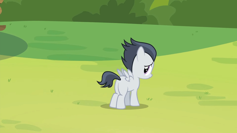 Size: 1920x1080 | Tagged: safe, derpibooru import, screencap, rumble, pegasus, pony, marks and recreation, season 7, 1080p, colt, cute, foal, image, left alone, looking back, male, png, rumblebetes, sad, sadorable, solo, spread wings, wings