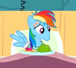 Size: 683x610 | Tagged: safe, derpibooru import, screencap, rainbow dash, pegasus, pony, read it and weep, bandage, bed, faic, female, food, great moments in animation, image, indoors, injured, jpeg, mare, open mouth, pillow, sitting, solo