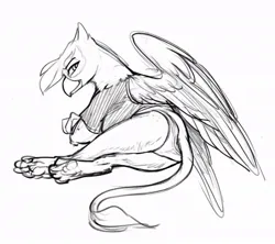 Size: 980x870 | Tagged: suggestive, artist:elicitie, derpibooru import, gilda, gryphon, arms folded, away from viewer, beak, butt, clothes, female, image, jpeg, large wings, legs together, lidded eyes, looking at you, looking back, looking back at you, lying down, monochrome, panties, panty shot, paw pads, paws, plot, shirt, side, simple background, sketch, smiling, solo, spread wings, sultry pose, t-shirt, tail, underwear, white background, wing holes, wings
