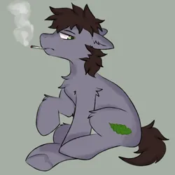 Size: 960x960 | Tagged: safe, artist:korpsegutz, derpibooru import, oc, oc:theta h, unofficial characters only, pony, blunt, brown mane, drugs, heart, heart hoof, image, leaf, male, marijuana, png, short tail, simple background, smoke, smoke weed erryday, smoking, solo, tail