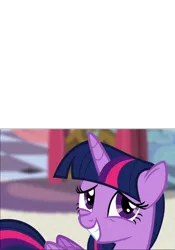 Size: 1362x1941 | Tagged: safe, derpibooru import, edit, edited screencap, screencap, twilight sparkle, twilight sparkle (alicorn), alicorn, pony, canterlot castle, caption, image, meme, meme template, png, reaction, reaction image, text