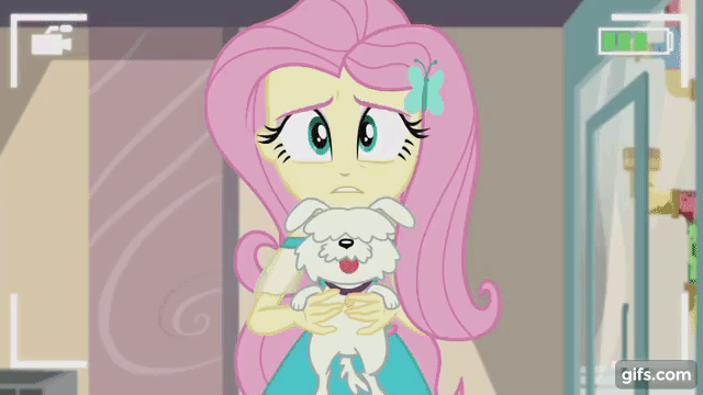 Size: 640x360 | Tagged: safe, derpibooru import, edit, edited screencap, editor:quoterific, screencap, fluttershy, dog, human, equestria girls, equestria girls series, outtakes (episode), animated, gif, image