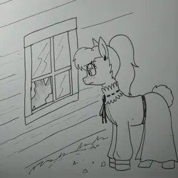 Size: 2236x2236 | Tagged: safe, artist:pony quarantine, derpibooru import, oc, oc:bo, unofficial characters only, earth pony, pony, broken window, clothes, dress, female, freckles, grayscale, image, jpeg, looking at something, mare, monochrome, solo, traditional art, window