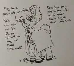 Size: 1736x1542 | Tagged: safe, artist:pony quarantine, derpibooru import, oc, oc:bo, unofficial characters only, earth pony, pony, cloak, clothes, dialogue, female, freckles, grayscale, image, jpeg, mare, monochrome, solo, talking to viewer, traditional art