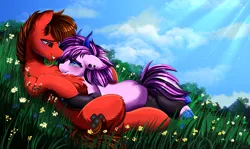 Size: 3517x2095 | Tagged: safe, artist:pridark, derpibooru import, oc, unofficial characters only, earth pony, pony, duo, image, png