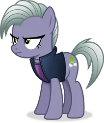 Size: 2899x3414 | Tagged: safe, alternate version, artist:anime-equestria, derpibooru import, limestone pie, earth pony, pony, annoyed, clothes, female, image, jacket, jewelry, mare, necklace, png, simple background, solo, transparent background, vector