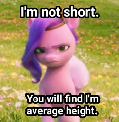 Size: 720x735 | Tagged: safe, derpibooru import, edit, edited screencap, screencap, pipp, pipp petals, pegasus, pony, my little pony: a new generation, spoiler:my little pony: a new generation, average height, denial's not just a river in egypt, g5, image, jpeg, pipp is short, pipp petals is not amused, solo, unamused
