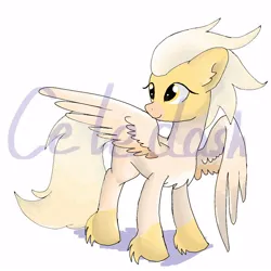 Size: 1000x1000 | Tagged: safe, artist:celedash, derpibooru import, oc, ponified, unofficial characters only, bird, cockatiel, pegasus, pony, female, image, jpeg, mare, obtrusive watermark, simple background, smiling, watermark, white background