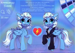 Size: 4000x2800 | Tagged: safe, artist:radioaxi, derpibooru import, oc, unofficial characters only, pegasus, pony, blue coat, blue eyes, blue wings, clothes, colored, cyrillic, high res, hooves, image, jpeg, looking at you, male, raised hoof, reference sheet, russian, slim, solo, standing, wings