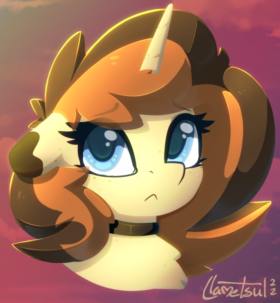 Size: 1272x1374 | Tagged: safe, artist:llametsul, derpibooru import, oc, oc:creme cookie, pony, unicorn, bust, concerned, image, lineless, looking at you, png, signature, solo