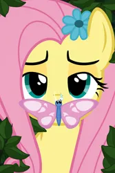 Size: 3000x4500 | Tagged: safe, artist:dersen, derpibooru import, discord, fluttershy, butterfly, insect, butterfly on nose, image, insect on nose, png