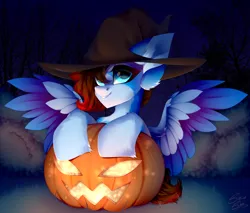 Size: 3500x2981 | Tagged: safe, derpibooru import, oc, pegasus, commission, hat, image, night, png, pumpkin, shinoshai, witch hat