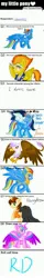 Size: 650x4109 | Tagged: safe, derpibooru import, gilda, rainbow dash, soarin', spitfire, female, image, jpeg, male, shipping, soarindash, straight