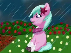 Size: 2400x1800 | Tagged: safe, artist:the crystal artist, derpibooru import, earth pony, pony, bush, clothes, cloud, cloudy, coat markings, dahlia, derpibooru exclusive, dirt, female, flower, flower in hair, g5, garden, grass, happy, image, lineless, mare, peaceful, png, rain, rose, scarf, shading, shading practice, smiling, socks (coat marking), solo, unshorn fetlocks, water, wet, wet mane
