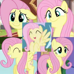 Size: 720x720 | Tagged: safe, derpibooru import, edit, screencap, fluttershy, pegasus, daring don't, fluttershy leans in, friendship is magic, the cutie map, the one where pinkie pie knows, collage, cute, happy, image, jpeg, shyabetes, smiling