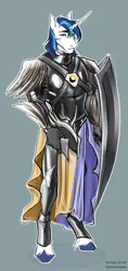 Size: 1416x3000 | Tagged: safe, artist:leonerdman, derpibooru import, shining armor, anthro, unguligrade anthro, armor, image, png, solo