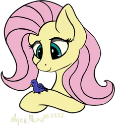 Size: 1793x1967 | Tagged: safe, artist:aquamuro, derpibooru import, fluttershy, bird, pegasus, pony, female, image, png, simple background, solo, transparent background