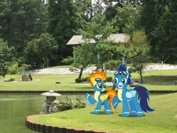 Size: 1600x1200 | Tagged: safe, artist:dashiesparkle, artist:jaredking779, derpibooru import, soarin', spitfire, pegasus, pony, clothes, female, garden, goggles, image, irl, jpeg, male, mare, memphis, photo, ponies in real life, shipping, soarinfire, stallion, straight, tennessee, uniform, wonderbolts uniform