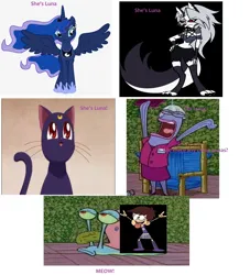 Size: 4224x4656 | Tagged: safe, artist:thegamerpainter, derpibooru import, screencap, princess luna, alicorn, cat, fish, hellhound, human, snail, wolf, 1000 hours in ms paint, gary, gary the snail, he's squidward, helluva boss, image, looking at you, loona (helluva boss), luna (sailor moon), luna loud, meme, meme template, png, spoilers for another series, spongebob squarepants, spread wings, text, wings, you're squidward