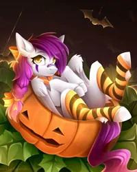 Size: 1080x1350 | Tagged: safe, artist:buvanybu, derpibooru import, oc, unofficial characters only, pegasus, pony, bandaid, bandaid on nose, clothes, halloween, holiday, image, jack-o-lantern, jpeg, pumpkin, socks, solo, striped socks