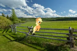 Size: 2048x1365 | Tagged: safe, artist:jaredking779, artist:sunran80, derpibooru import, applejack, earth pony, pony, applejack's hat, cowboy hat, female, fence, hat, image, irl, jpeg, mare, photo, ponies in real life, scenery, sitting, solo, stetson, wyoming