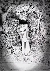 Size: 3264x4676 | Tagged: safe, artist:ph平和, derpibooru import, fluttershy, pegasus, pony, black and white, black and white cartoon, dark, dead tree, grass, grass field, grayscale, image, junji ito, looking at you, monochrome, night, png, shrub, solo, traditional art, tree