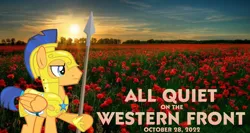 Size: 2064x1101 | Tagged: safe, artist:not-yet-a-brony, derpibooru import, flash sentry, pegasus, pony, 2022, all quiet on the western front, armor, belgium, erich maria remarque, flanders fields, flower, image, male, movie reference, october, png, poppy, spear, stallion, sunset, weapon, world war i, youtube link in the description