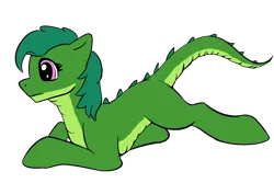 Size: 1024x685 | Tagged: safe, artist:shaliwolf, derpibooru import, oc, dracony, dragon, hybrid, image, png, raised tail, simple background, solo, tail, transparent background