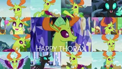 Size: 1191x671 | Tagged: safe, derpibooru import, edit, edited screencap, editor:quoterific, screencap, daisy, flower wishes, king sombra, thorax, changedling, changeling, celestial advice, season 6, season 7, the times they are a changeling, to change a changeling, to where and back again, triple threat, background pony, cute, female, grin, happy, image, jpeg, male, smiling, thorabetes