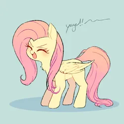 Size: 2000x2000 | Tagged: safe, artist:matcha_neko_413, derpibooru import, fluttershy, pegasus, pony, sonic rainboom (episode), blushing, cheering, chest fluff, eyes closed, female, flutteryay, folded wings, full body, image, jpeg, mare, open mouth, simple background, solo, standing, teal background, wings, yay