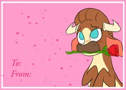 Size: 3500x2500 | Tagged: safe, alternate version, artist:jsacos, derpibooru import, cow, them's fightin' herds, blushing, community related, female, flower, flower in mouth, horns, image, madison (tfh), mouth hold, png, rose, rose in mouth, solo, text, valentine's day card