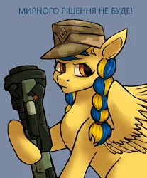 Size: 1920x2322 | Tagged: safe, artist:hajster, derpibooru import, oc, oc:ukraine, ponified, unofficial characters only, pegasus, pony, braided ponytail, cap, current events, female, hat, image, mare, missile launcher, nation ponies, png, solo, text, ukraine