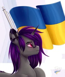 Size: 1920x2286 | Tagged: safe, artist:hajster, derpibooru import, oc, unofficial characters only, pony, unicorn, coat markings, flag, image, png, profile, solo, ukraine, virtue signalling