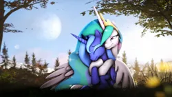 Size: 7680x4320 | Tagged: safe, artist:lagmanor, derpibooru import, princess celestia, princess luna, alicorn, pony, 3d, absurd file size, absurd resolution, crown, crying, eyes closed, female, flower, forest, forest background, grass, horn, hug, hug from behind, image, jewelry, looking at each other, looking at someone, magic, magic horn, moon, not shipping, png, regalia, reunion, royal sisters, siblings, sisters, sitting, smiling, source filmmaker, sunlight, tears of joy, teary eyes, tree, tree branch