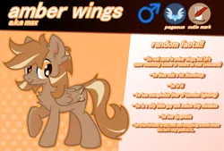 Size: 640x432 | Tagged: safe, artist:foxtrnal, derpibooru import, oc, oc:amber wings, oc:max, unofficial characters only, pegasus, pony, abstract background, astraphobia, cutie mark, dyspraxia, fluffy, freckles, image, male, pegasopolis, pegasus oc, pegasus tribe, png, reddit, reference sheet, solo, stallion, wings
