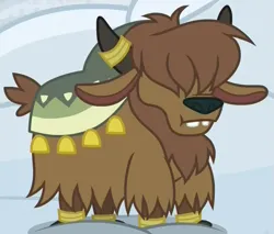 Size: 715x610 | Tagged: safe, derpibooru import, screencap, yak, not asking for trouble, calf, cropped, hair over eyes, horns, image, male, png, short tail, snow, solo, tail, teeth, yak calf, yona's brother