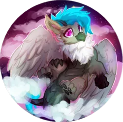 Size: 851x848 | Tagged: safe, artist:amura-of-jupiter, derpibooru import, oc, oc:fluffy (the griffon), dragon, gryphon, hybrid, avatar, cloud, dragoness, eared griffon, female, image, paw pads, paws, png, smiling, solo, solo female, spread wings, sunset, toe beans, underpaw, wings