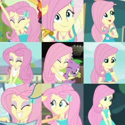 Size: 720x720 | Tagged: safe, artist:megalobronia, derpibooru import, edit, screencap, fluttershy, spike, spike the regular dog, dog, do it for the ponygram!, equestria girls, equestria girls series, fluttershy's butterflies, holidays unwrapped, mirror magic, movie magic, rollercoaster of friendship, stressed in show, stressed in show: fluttershy, the finals countdown, spoiler:eqg series (season 2), spoiler:eqg specials, butterfly hairpin, choose your own ending (season 1), collage, dashing through the mall, fluttershy's butterflies: applejack, image, jpeg