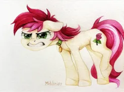 Size: 2172x1604 | Tagged: safe, artist:mithriss, derpibooru import, roseluck, earth pony, pony, angry, collar, commission, commissioner:doom9454, female, image, jpeg, mare, pony pet, rosepet, simple background, solo, traditional art, watercolor painting, white background