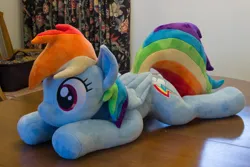 Size: 5184x3456 | Tagged: safe, artist:azgchip, derpibooru import, rainbow dash, pegasus, pony, absurd file size, cute, dashabetes, female, folded wings, high res, image, irl, lying down, mare, photo, plushie, png, prone, solo, sploot, table, wings