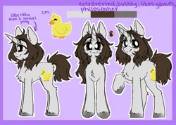 Size: 1055x750 | Tagged: safe, artist:kadus_uwu, artist:madkadd, derpibooru import, oc, unofficial characters only, bird, duck, pony, chest fluff, eyelashes, female, image, jpeg, mare, raised hoof, reference sheet, smiling, unshorn fetlocks