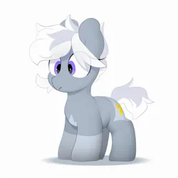 Size: 2500x2500 | Tagged: safe, artist:mochi_nation, derpibooru import, oc, oc:silver bolt, unofficial characters only, earth pony, pony, coat markings, eye clipping through hair, female, image, jpeg, mare, simple background, solo, white background