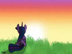 Size: 2160x1620 | Tagged: safe, artist:twidasherboop, derpibooru import, oc, oc:midnight moonstar, alicorn, colored wings, gradient wings, image, png, signature, sunset, wings