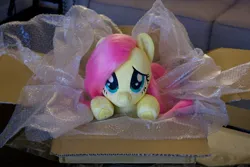 Size: 2100x1400 | Tagged: safe, artist:fluttershyhiker, derpibooru import, fluttershy, pony, box, bubble wrap, image, irl, jpeg, photo, plushie, solo