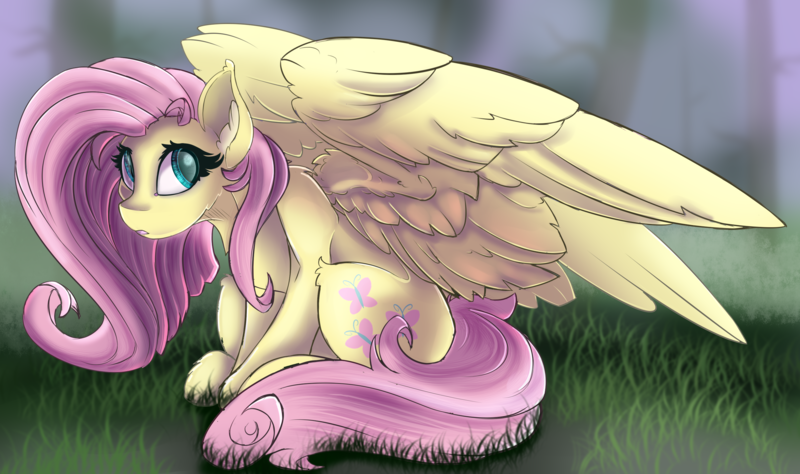 Size: 2700x1600 | Tagged: safe, artist:starcasteclipse, derpibooru import, fluttershy, pegasus, pony, aside glance, cheek fluff, ear fluff, female, grass, high res, image, large wings, looking at you, mare, open mouth, outdoors, png, sideways glance, sitting, sketch, solo, spread wings, wings